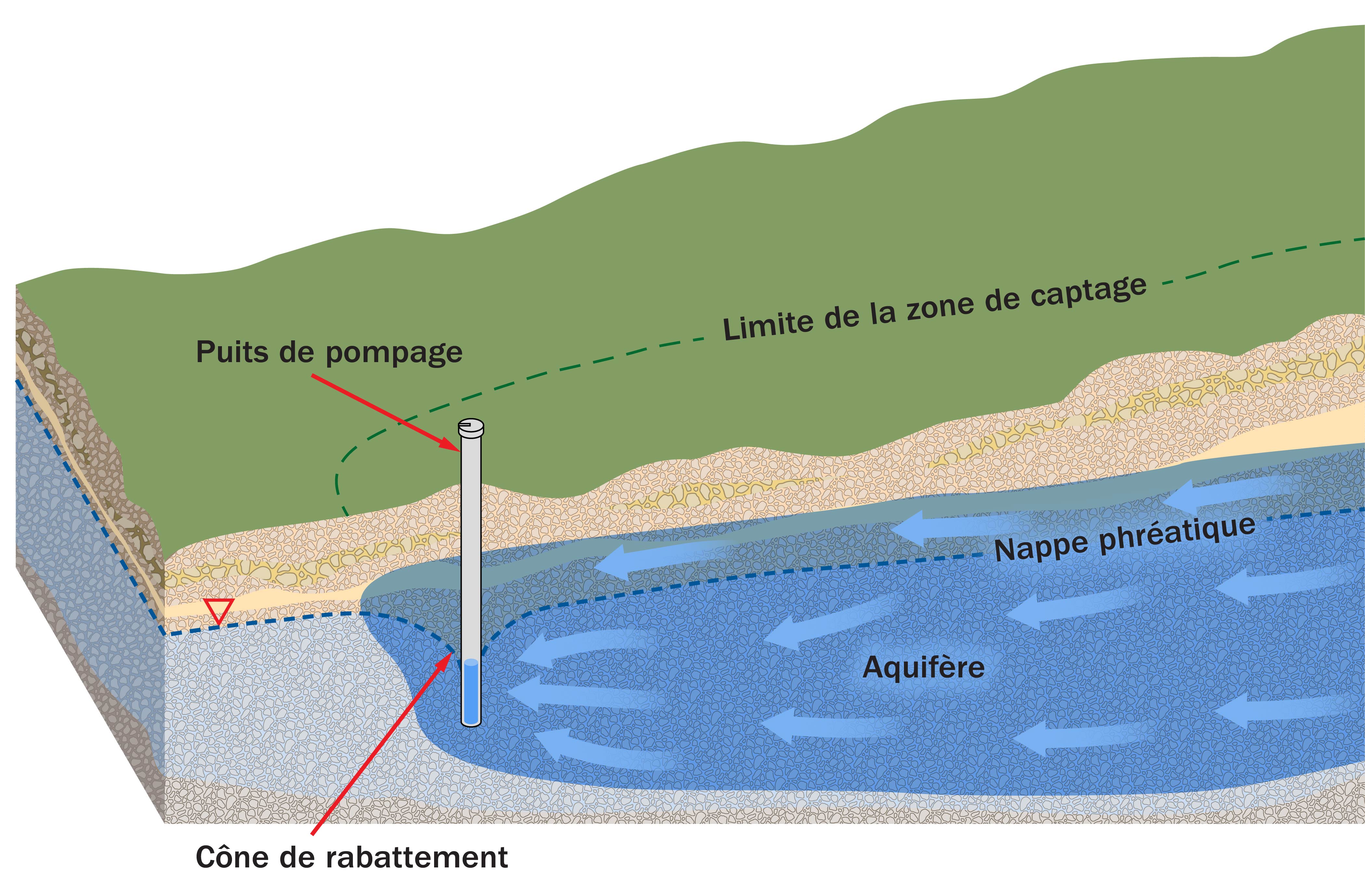 Schéma montrant la zone de captage d’un puits, c’est-à-dire la superficie à la surface du sol à travers laquelle les précipitations réalimentent les eaux souterraines qui sont captées lorsque de l’eau est extraite par pompage dans un puits privé
