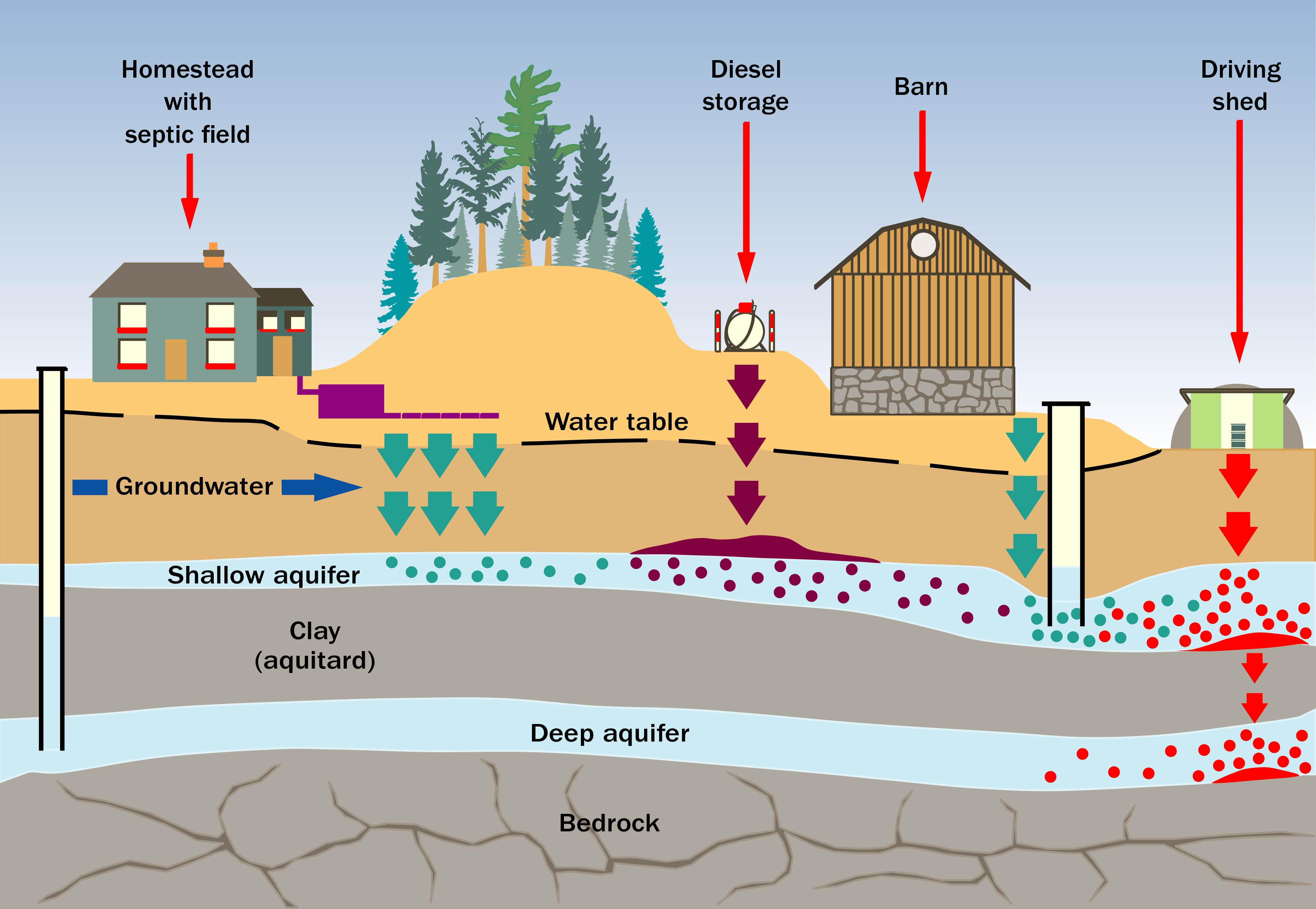 Surface contaminants (septic systems, fuel storage, barns and drive sheds) infiltrating the ground into shallow aquifers, clay aquitards and bedrock aquifers. An abandoned well is a channel for the contaminants to reach deeper bedrock aquifers
