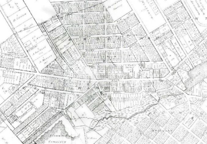 Map of Picton 1878