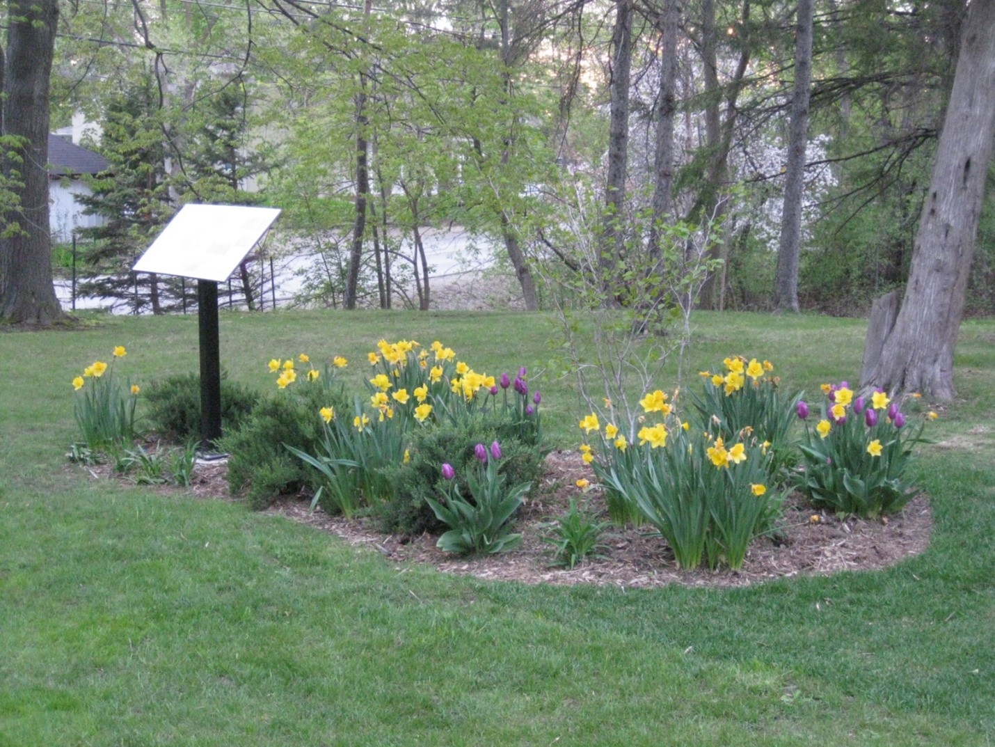Meadowvale Village HCD