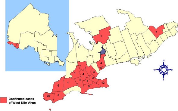 A map of Ontario showing the confirmed cases of west nile virus in horses by county.