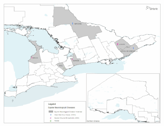 A map depicting the locations of equine neurological disease in Ontario in 2008.