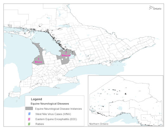 A map depicting the locations of equine neurological disease in Ontario in 2010.