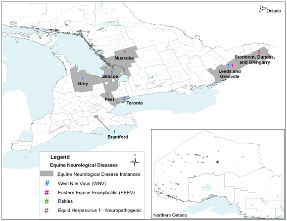 A map depicting the locations of equine neurological disease in Ontario in 2011.