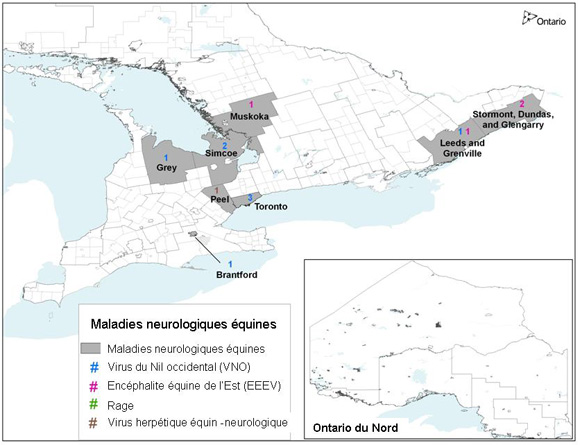 Une carte représentant des endroits de cas de maladies neuologiques équines en Ontario - 2011