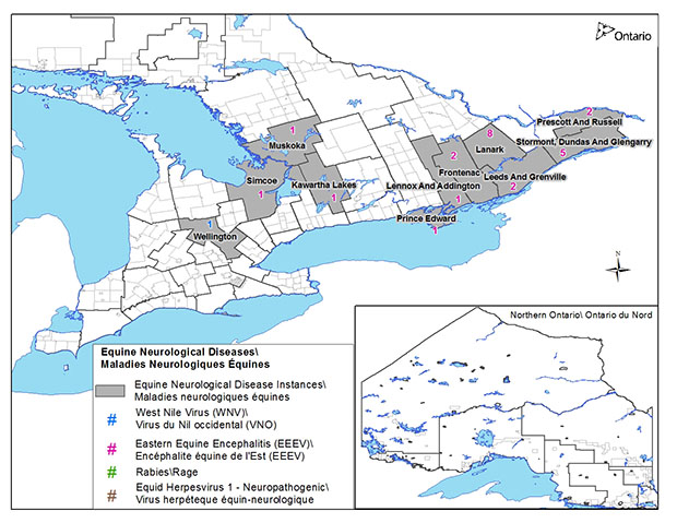Image of a map of locations where Equine Neurological Diseases are in Ontario