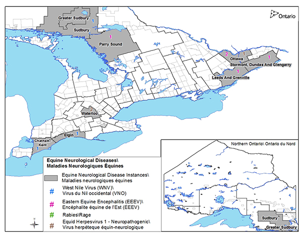 Cases of Equine Neurological Disease in Ontario