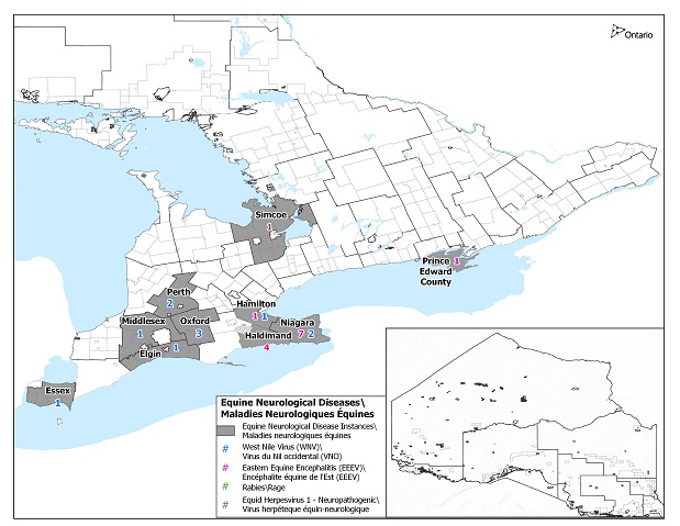 Cases of Equine Neurological Disease in Ontario