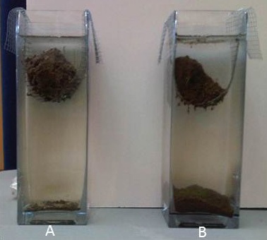 The figure compares soil aggregate stability from different production and tillage systems: A - Pasture; B - Corn-corn-alfalfa, conventional tillage