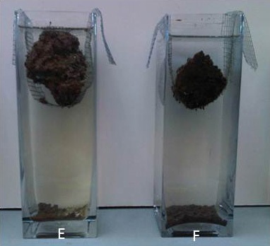 The figure compares soil aggregate stability from different production and tillage systems: E - Corn- soybean-wheat/red clover, no till; F - Corn-soybean-wheat/red clover, conventional tillage