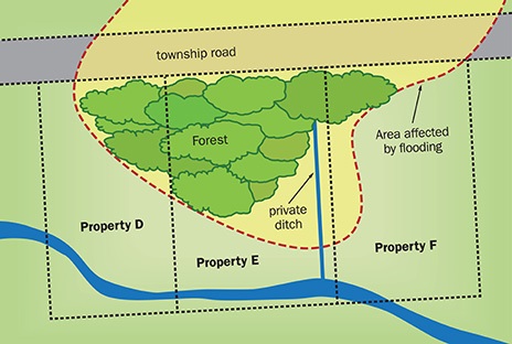 This drawing shows the boundaries of properties D, E, F and a township road. The township road runs horizontally across the top of properties D, E and F. A large forested area covers 1/4 of property D, 1/2 of property E and a little bit of the top left corner of property F. The forested area is also affected by flooding. A creek runs through the lower end of all three properties.