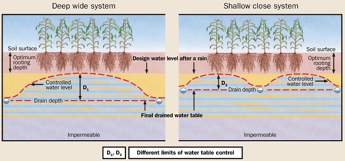 This figure shows the comparison between a deep and wide spacing drainage system and a shallow and narrow spacing system.