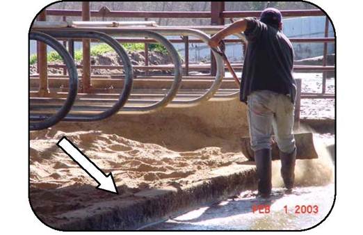 A farm worker sweeping the resting area in the free-stall between the inside of the curb and brisket locator