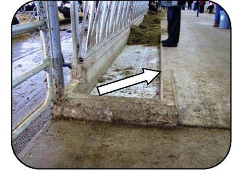 A raised drive alley that is higher than the feed table to keep feed within the space 
