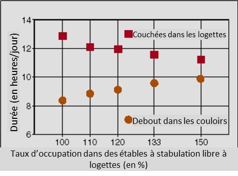 Graphique linéaire montrant l’impact de la densité de logement (taux d’occupation) sur les durées en positions couchée et debout