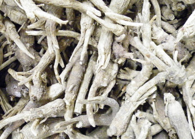Figure 5. Ginseng roots are sold dried with minimal grading before shipping.