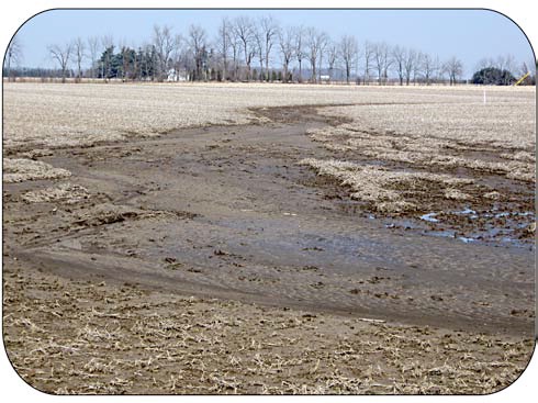 A grassed waterway would have prevented this erosion.