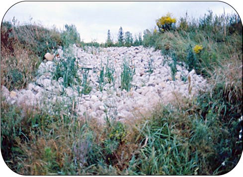 A rock chute spillway located at the outlet of a grassed waterway.