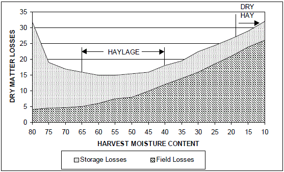 Harvesting And Storing Large Bale Haylage Ontario ca