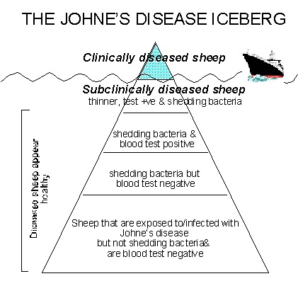 The Johne's disease iceberg.