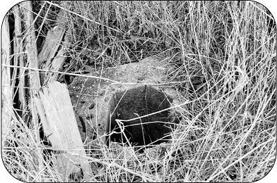 Unused water well.