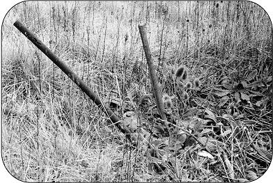 Surfaced well pipes.