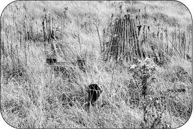 Unused oil or gas well and remnants.