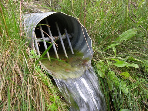 This photo shows an outfall pipe with rodent guard installed.
