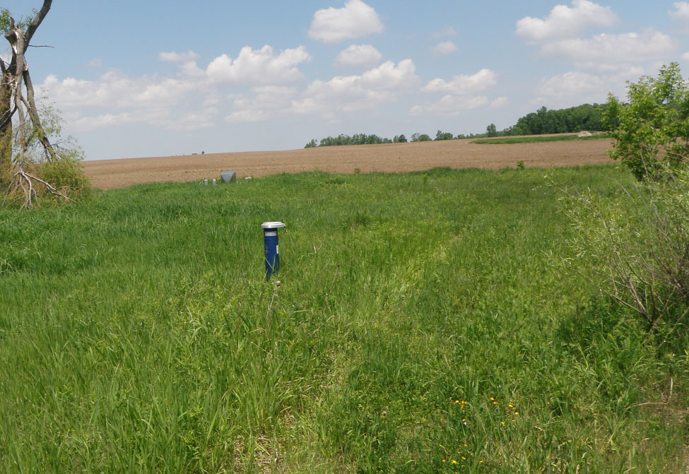 Figure 2. Buffer strip between a well and an agricultural field.