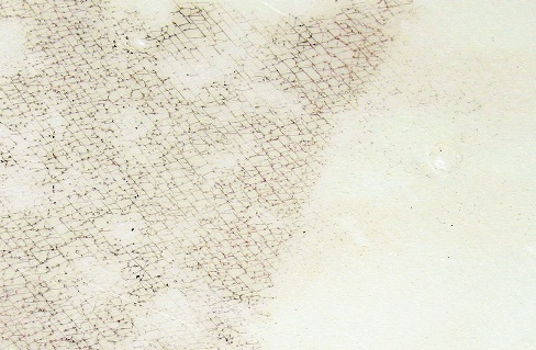 Close-up photo of polyethylene tank material that has been coloured with water soluble marker to reveal some crazing of tank material but no evidence of cracks.