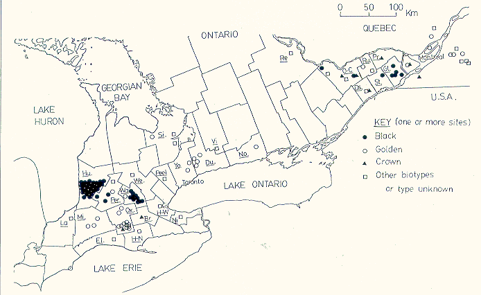 Distribution of proso millet in Southern Ontario.