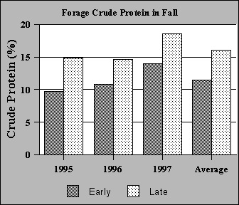 Effect of stockpile management system on forage crude protein in the fall.