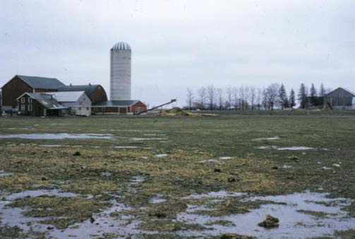 Surface water has no defined course and no right of drainage.