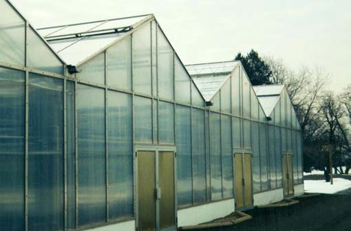 Surface Water Drained Off Greenhouse Roofs Has Been Collected Into Eavestroughs, So It Must Be Taken To A Sufficient Outlet