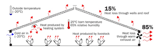 In a poultry barn, 85% of heat is lost to ventilation, and only 15% is lost through the building envelope.