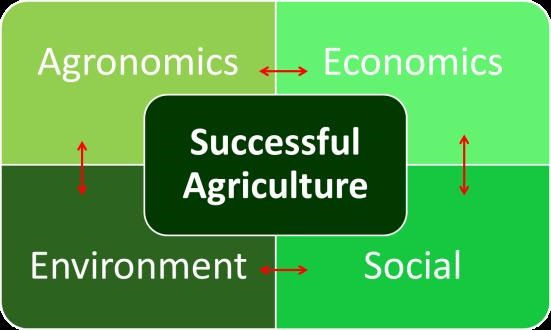 A representation of the dynamics of successful agriculture.