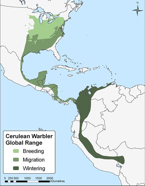 Figure 1. Global range of the Cerulean Warbler