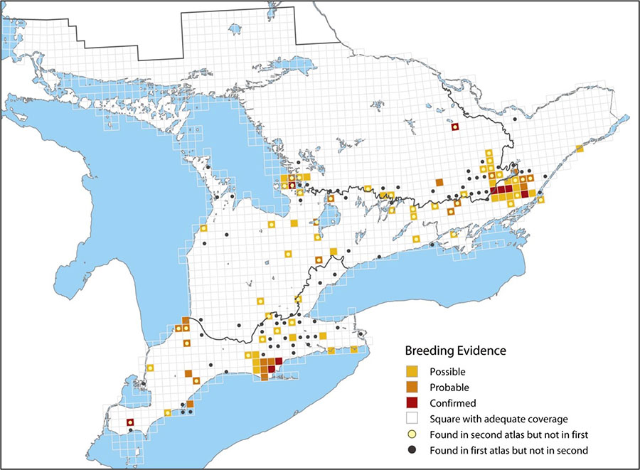 Figure 2. Distribution of the Cerulean Warbler in Ontario between 2001 and 2005)
