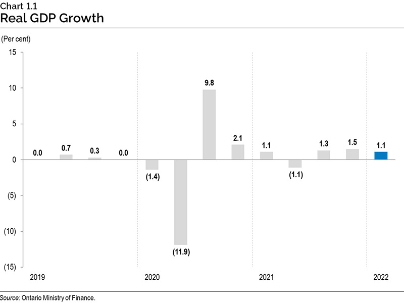 Chart 1.1: Real gross domestic product growth