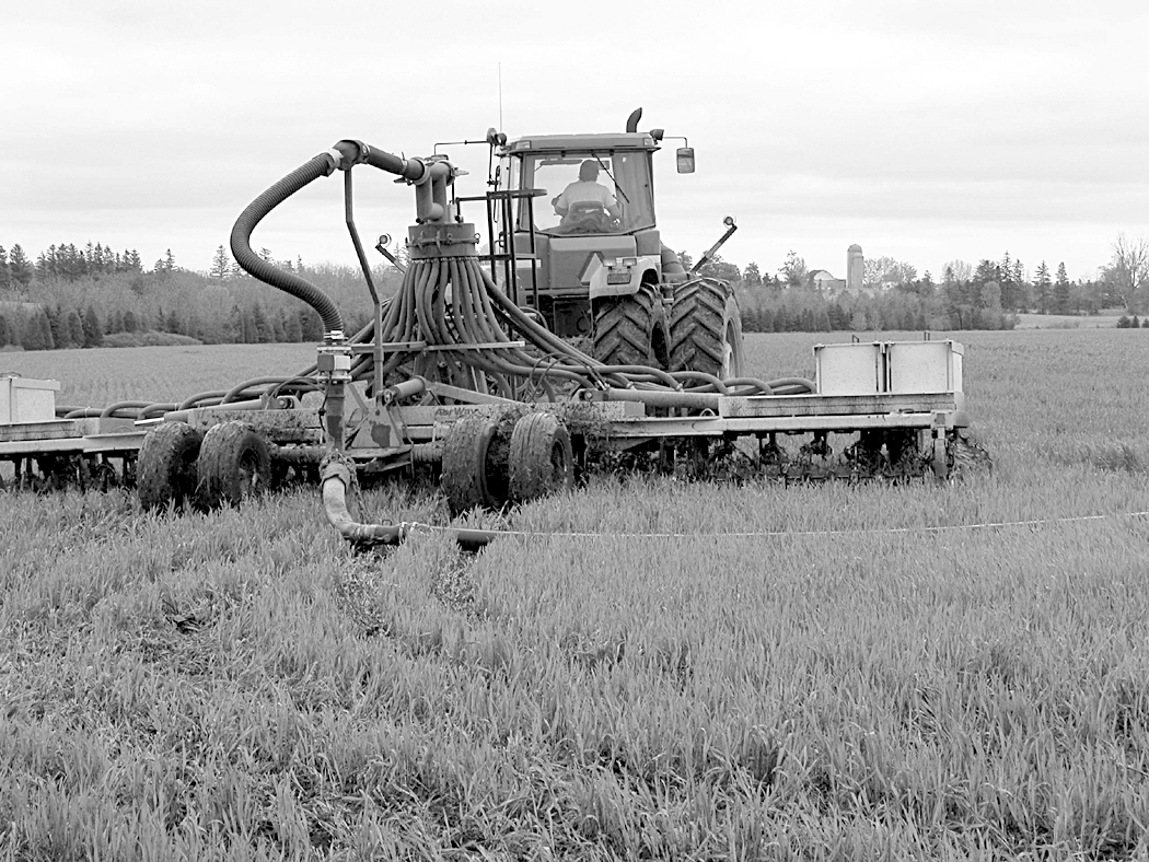 Drag Hose Manure Applicator using an Aerway tool to apply manure to a winter wheat crop