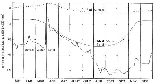 Chart showing actual and ideal water levels for an organic soil.