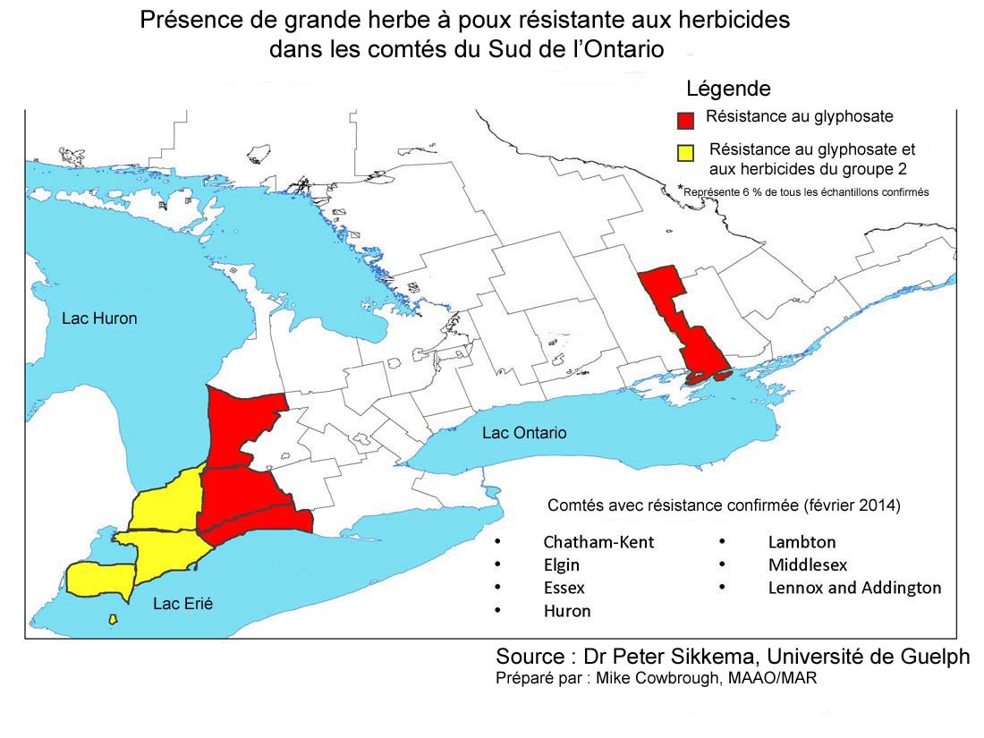 Carte de l'Ontario montrant les trois comtés les plus au sud surlignés en jaune et les trois comtés à l'est au nord en rouge. Les comtés de Lennox et d'Addington sont aussi surlignés en rouge.