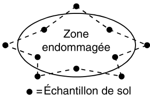Figure 4. Schéma d'échantillonnage de zones endommagées ou de plaques infestées. 