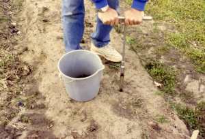 Figure 8. Échantillonnage du sol à l'aide d'une tarière de 2,5 cm (1 po) de diamètre. Les échantillons de sol sont recueillis dans un seau propre et envoyés à un laboratoire d'analyse en vue du dénombrement des nématodes.