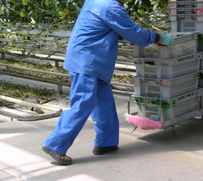 Figure 16. Photo of a worker in regularly laundered uniform.