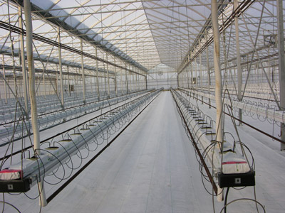 Figure 25. Photo of a clean greenhouse ready for planting of new crop.