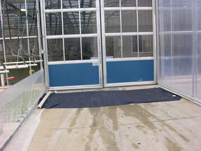 Figure 8. Photo of a disinfection mat for small vehicles at the greenhouse entrance.