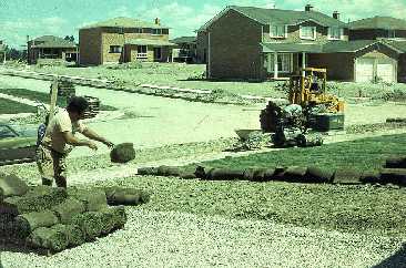 Figure 11. Typical sod installation in new home development.
