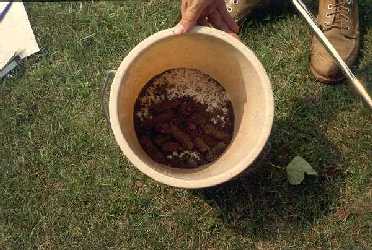 Bucket for mixing soil samples