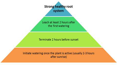 Graphic showing the steps to a strong healthy root system.